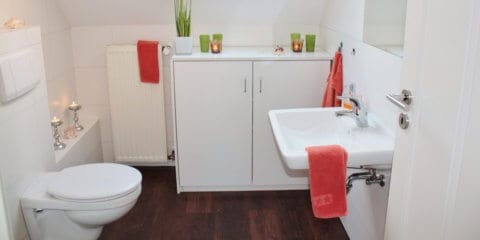 toilet leak